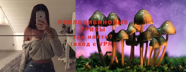 мдпв Семилуки