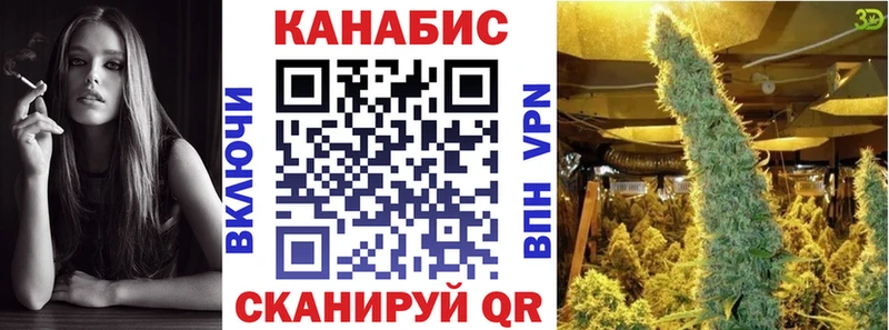 закладка  Бугульма  Конопля план 